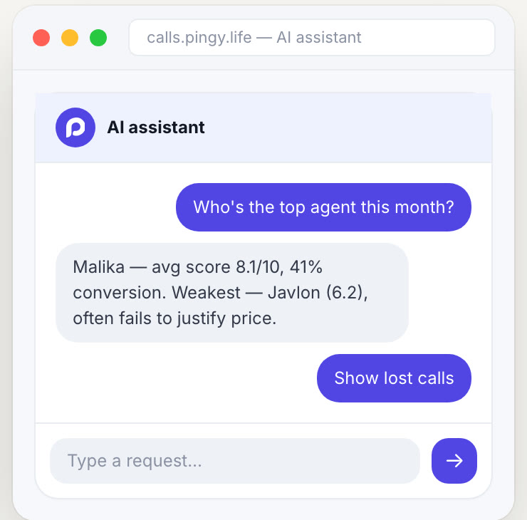 Pingy Calls — AI assistant